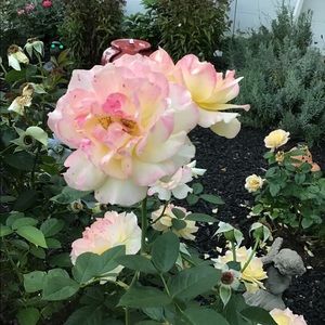 Meet your Posher, Cindy